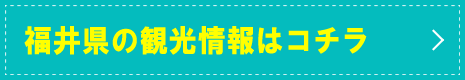 䌧̊ό̓R`