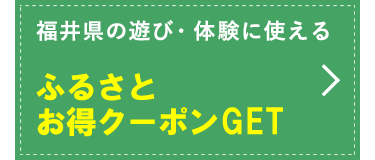 䌧̗VсĚɎgӂ邳ƂN[|GET