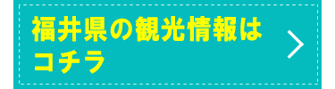 䌧̊ό̓R`