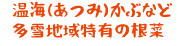 Ci݁jԂȂǑnL̍