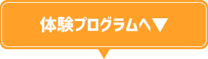 ̌vO