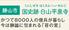Rs@@j R򎛁iɂ ͂ւ񂶁j8000l̑m炵͐捂ɕ܂uۂ̋{v