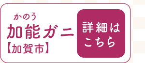 \Kjîjyszڍׂ͂