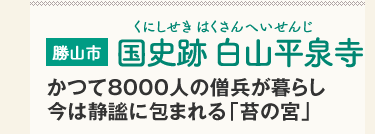 Rs@j R򎛁iɂ ͂ւ񂶁j8000l̑m炵͐捂ɕ܂uۂ̋{v