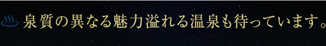 򎿂̈قȂ閣͈鉷҂Ă܂B