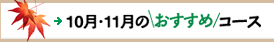 10E11̂߃R[X
