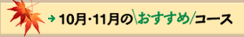 9E10̂߃R[X