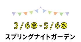3/6-5/6XvOiCgK[f@2020Nu XvOiCgK[f`Happy Spring Birthday!!!`vJÁBuV̒ave[}ɁAɌzIȋԂLB	