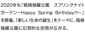 2020Nu XvOiCgK[f`Happy Spring Birthday!!!`vJÁBuV̒ave[}ɁAɌzIȋԂLB