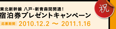 kV -VXԊJʁIhv[gLy[@2010.12.2 ` 2011.1.16