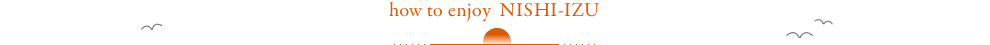 how to enjoy  NISHI-IZU