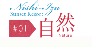 Nishi-IzuSunset Resort#01RNature