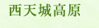 V鍂