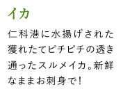 CJ@mȍ`ɐgꂽlꂽăs`s`̓ʂXCJBVNȂ܂܂hgŁI