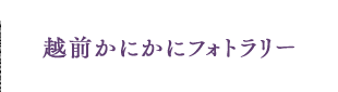 zOɂɃtHg[