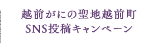 zOɂ̐nzOSNSeLy[