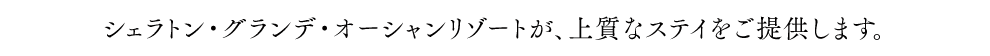 VFgEOfEI[V][gA㎿ȃXeC񋟂܂B