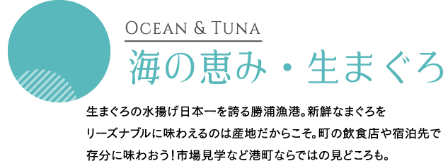 Ocean & Tuna Čb݁E܂