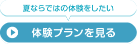 ̌v