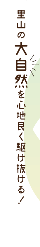 Ȓ厩RSnǂ삯I