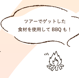 cA[ŃQbgHނgpBBQI
