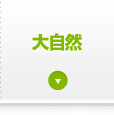 厩R