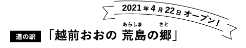 2021NS22 I[vI ̉wuzO r̋v