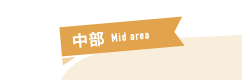  Mid area