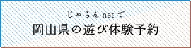 netŉR̗Vё̌\