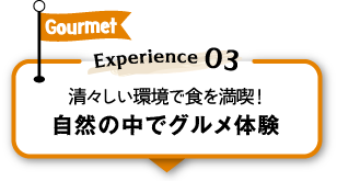 Gourmet Experience 03 XŐH𖞋iI R̒ŃǑ