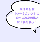 鉻΁uV[JXv̖{̗Ⓚ̂Ƃ͂WI