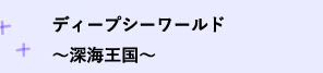 fB[vV[[h`[C`