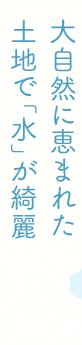 厩RɌb܂ꂽynŁuvY