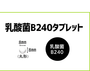 _B240^ubg@_B240