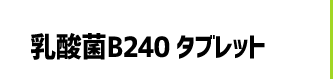 _B240 ^ubg