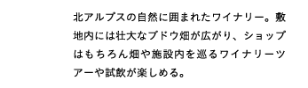 kAvX̎RɈ͂܂ꂽCi[B~nɂ͑sȃuhELAVbv͂񔨂{ݓ郏Ci[cA[⎎y߂B