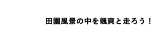 ci̒DuƑ낤I
