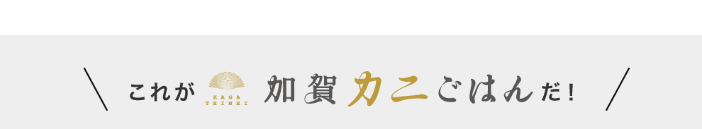 ꂪJj͂񂾁I