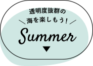 xQ̊CyISummer