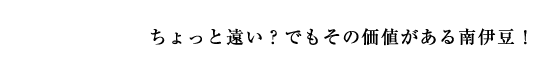 ƉHł̉lɓI