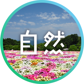 ́uRv