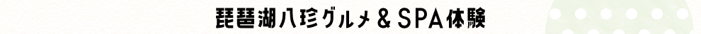 iΔOSPǍ