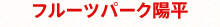t[cp[Nz