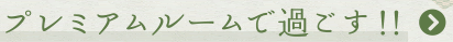 v~A[ŉ߂II