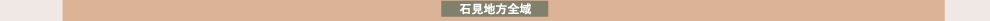 ΌnS