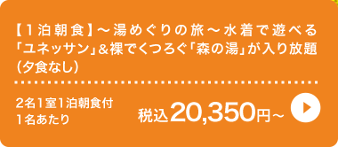 y1Hz`߂̗`ŗVׂulbTvł낮uX̓vi[HȂj, 2111 ō20,350~`