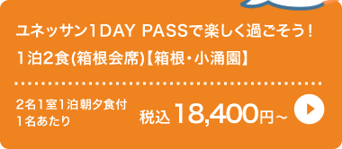 lbT1DAY PASSŊy߂I12H()yEOz, 2111 ō18,400~`