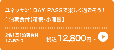lbT1DAY PASSŊy߂I1HtyEOz(24N4ȍ~), 211[Ht1 ō12,800~`