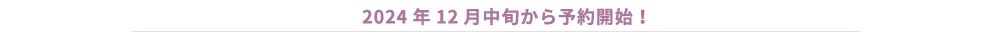2024N12{\JnI