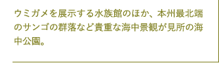 E~KW鐅ق̂قA{BŖk[̃TŠQȂǋMdȊCiς̊CB